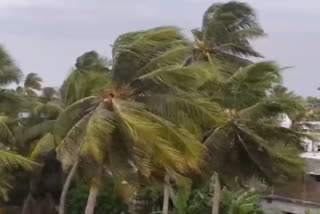 storm-in-thanjavur