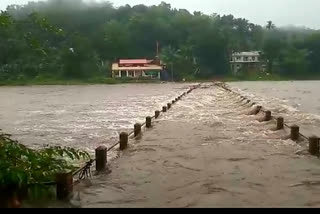 shutters of moozhiyar, maniyar dams open due to heavy rain  heavy rain  കനത്ത മഴ; മൂഴിയാർ, മണിയാർ ഡാമുകളുടെ ഷട്ടർ തുറന്നു  കനത്ത മഴ  മൂഴിയാർ ഡാം  മണിയാർ ഡാം  റെഡ് അലർട്ട്  പമ്പ