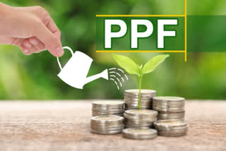 Personal loan or loan on PPF Which one is Better