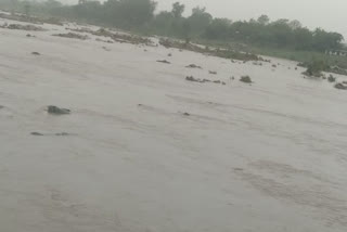 effect of cyclonic storm yaas in seraikela