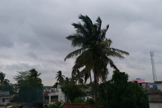 effect of cyclone strom yaas in jamtara