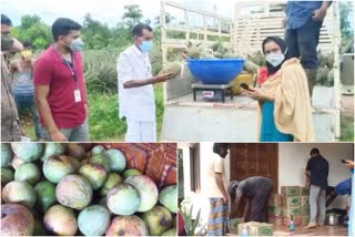 malappuram fruit home delivery  malappuram agriculture department  malappuram covid initiatives  malappuram covid  മലപ്പുറം പഴങ്ങളുടെ ഹോം ഡെലിവറി  മലപ്പുറം കൃഷി വകുപ്പ്  മലപ്പുറം കൊവിഡ്