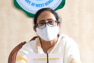 CM Mamata Banerjee insists to create more Mangrove forests to combat cyclones in future