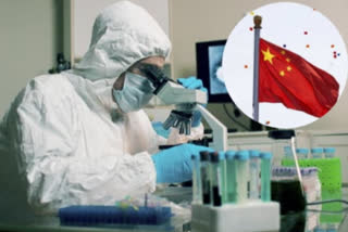 who scientists likely to reconsider china lab origin theory of covid