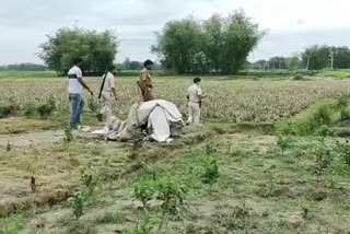 bjp workers accused to uprooting trees in tea garden of Trinamool leader in south dinajpur