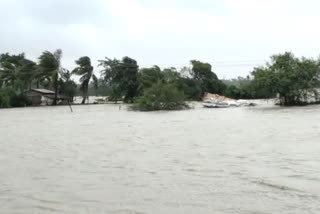 যশের তাণ্ডবে শংকরপুর ভগ্নপ্রায়