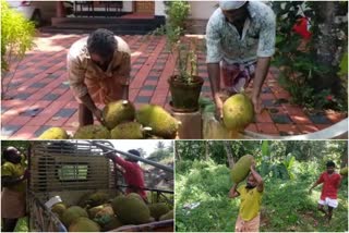 ദുരിതത്തിലായവർക്ക് സഹായവുമായി ഡിവൈഎഫ്‌ഐ  ഡിവൈഎഫ്‌ഐ  DYFI  നെല്ലിക്കുഴി ഡിവൈഎഫ്‌ഐ  കോതമംഗലം ഡിവൈഎഫ്‌ഐ  DYFI with assistance to those affected by Covid  dyfi covid assistance  dyfi kothamangalam  dyfi ernakulam  ഡിവൈഎഫ്‌ഐ എറണാകുളം