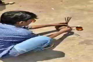 Video of young man worshiping desi liquor in Raipur went viral