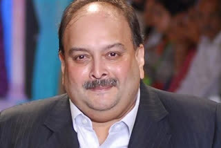 Mehul Choksi can be deported only to Antigua, not to India, says his lawyer
