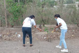 Social organizations feeding fruits to monkeys