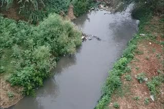 sewage water samples test in lucknow