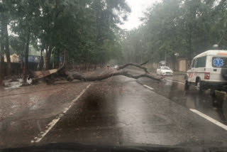 Yas storm in Ranchi