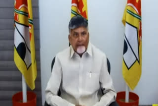 tdp president chandrababu naidu