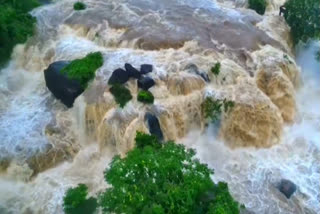 Water overflows in Thiruparappu falls