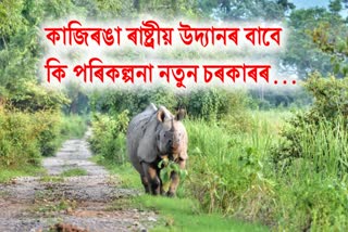 What is the new government's plan for Kaziranga National Park