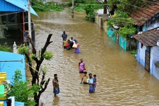 केले के बागान बर्बाद