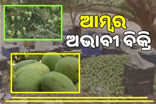 ଫଳ ରାଜା ଆମ୍ବର ଅଭାବୀ ବିକ୍ରି