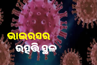 'କୋରୋନା ଭାଇରସ ପ୍ରକୃତିରୁ କିମ୍ବା ଲ୍ୟାବ କେମିକାଲ ଦୁର୍ଘଟଣାରୁ ସୃଷ୍ଟି '