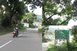 Life threatening tree branches on Kumily Munnar State Highway  കുമളി-മൂന്നാർ സംസ്ഥാനപാതയിൽ ജീവന് ഭീഷണിയായി മര ശിഖരങ്ങള്‍  കുമളി-മൂന്നാർ സംസ്ഥാനപാത  ഇടുക്കി വാര്‍ത്തകള്‍  ഇടുക്കി മഴ  Kumily Munnar State Highway  idukki district news