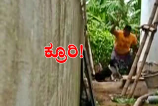 Man killed pet dog, Man killed pet dog with sharp weapon, Man killed pet dog with sharp weapon in Kendrapara, Kendrapara news, ಸಾಕು ನಾಯಿಯನ್ನು ಕೊಂದ ವ್ಯಕ್ತಿ, ಚೂಪಾದ ಮಚ್ಚಿನಿಂದ ಸಾಕು ನಾಯಿಯನ್ನು ಕೊಂದ ವ್ಯಕ್ತಿ, ಕೇಂದ್ರಪಾರಾದಲ್ಲಿ ಸಾಕು ನಾಯಿಯನ್ನು ಕೊಂದ ವ್ಯಕ್ತಿ, ಕೇಂದ್ರಪಾರಾ ಸುದ್ದಿ,