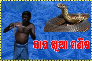 ସାପକୁ ମାରି ଖାଇଲେ କୃଷକ, କହିଲେ ଏହା ବିରଳ କୋରୋନା ମେଡିସିନ !