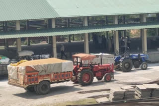 paonta-grain-market