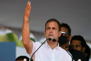 rahul-gandhi-slams-centre-over-second-wave-of-covid-19