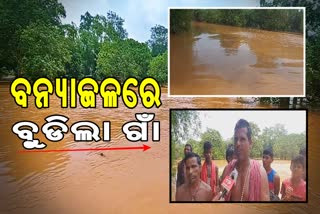 baitarani river flood