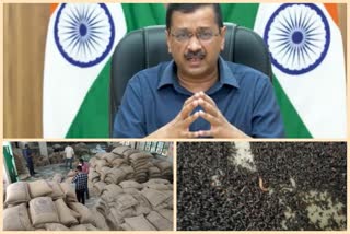 delhi grain wastage