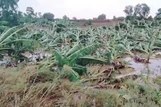 नुकसानग्रस्त भागांची लोकप्रतिनिधींकडून पाहणी