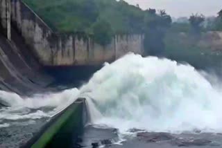 2-gates-of-tenughat-dam-opened-after-continuous-rains-in-bokaro