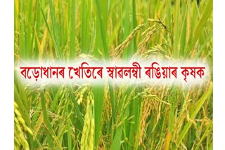 CROP BRINGS HAPPINESS IN FARMERS PADDY CULTURE