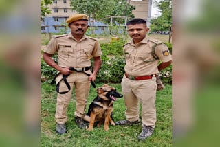 Cops with German Shepherd breed dog