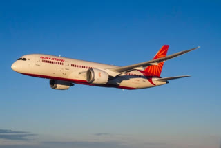 Air India flight returns after bat found in plane  എയർ ഇന്ത്യ വിമാനത്തിനുള്ളിൽ വവ്വാൽ  bat found in plane  delhi airport  എയർ ഇന്ത്യ വിമാനം  ഡൽഹി വിമാനത്താവളം