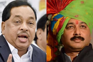 mp-sambhaji-raje-should-not-resign-from-bjp-for-maratha-aarakshan-say-narayan-rane-in-sindhudurg