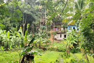 മണ്ണിടിച്ചിൽ  കൊല്ലം ജില്ലയിൽ മണ്ണിടിച്ചിൽ  ഇടമല  പേരയം ഗ്രാമപഞ്ചായത്ത്  Landslide threat  Kollam  rain  rain in kollam