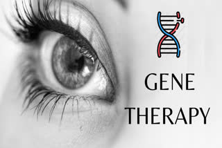 gene, gene therapy