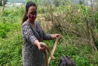 Female Snake Catcher