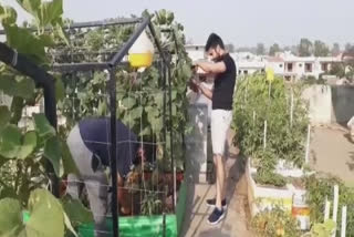 Farming: ਘਰ ਦੀ ਛੱਤ ’ਤੇ ਕੀਤੀ ਵਿਦੇਸ਼ੀ ਸਬਜ਼ੀਆਂ ਦੀ ਕਾਸ਼ਤ