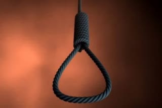 टोंक न्यूज  निवाई न्यूज  खुदकुशी  आत्महत्या  युवती ने लगाई फांसी  क्राइम इन टोंक  Crime in tonk  Girl hanged  Suicide  Tonk News