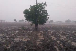 Pre monsoon rain showers in Beed