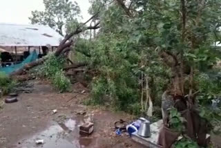 Heavy rains in Yeola city