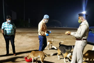 RMC team fed to street dog food