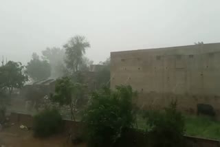 Alwar hindi news, Rain in Alwar