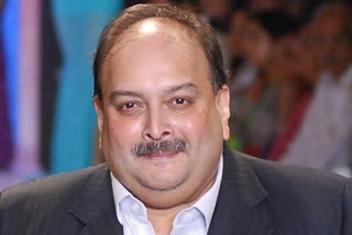 India asks Dominica to Hand over Choksi