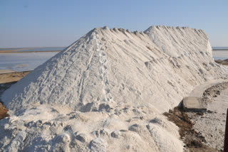 'તૌકતે' વાવાઝોડાથી થયેલા નુક્સાન બદલ મીઠાના ઉદ્યોગે રાહતની કરી માગ