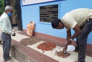 বোলপুর উচ্চ বিদ্যালয়ে 'উদ্ভিদ ব্যাঙ্ক'