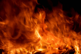 Two Houses Gutted In Fire