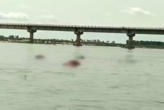 Dead bodies found floating