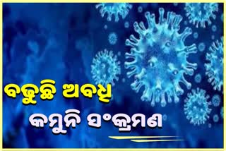 କୋରୋନାରେ ଲାଗୁନି ବ୍ରେକ : ଦିନକରେ ଚିହ୍ନଟ ହେଲେ 8313 ପଜିଟିଭ